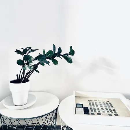 B001 Contemporain Au Coeur De Cannes